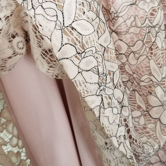 Lace Fit and Flare Dress LILY ROSE Pink/Grey - Picture 6 of 12